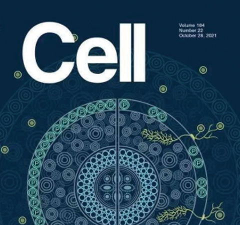 祝賀王二濤老師團(tuán)隊(duì)又一佳作榮登Cell期刊！