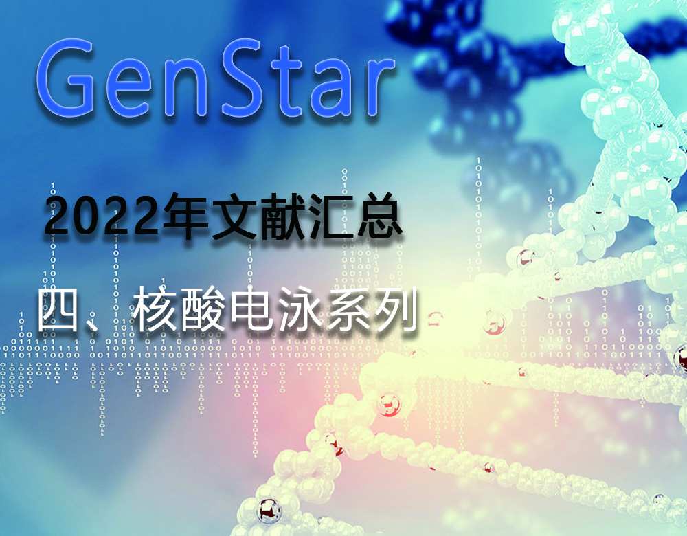 GenStar 2022年文獻匯總（四、核酸電泳系列）